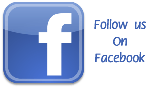 facebook follow button